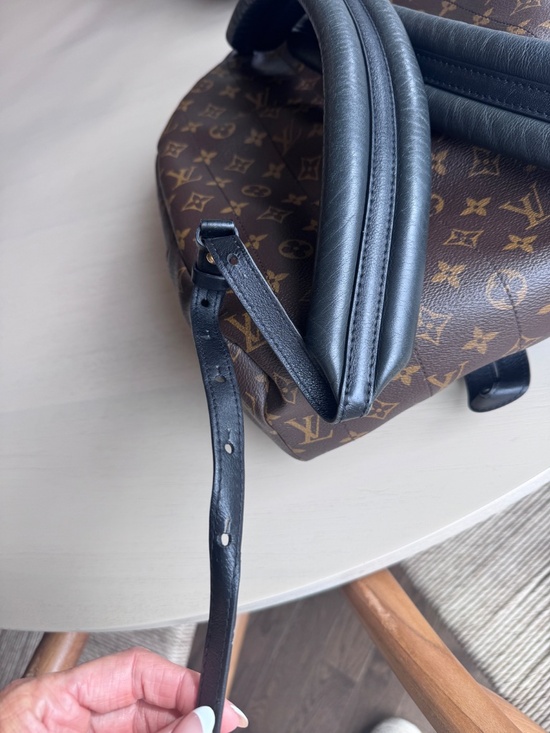 Louis Vuitton Palm Springs MM Canvas Monogram Backpack main image 8